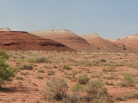 Petroglyph Canyon